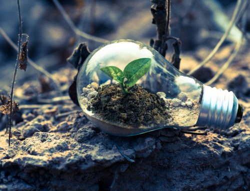 Cómo Afecta un Diagnóstico Ambiental en tu Empresa